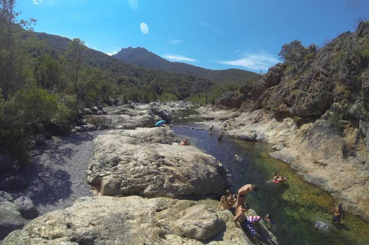 L'Orangeraie Calvi Centre A 300M De La Plage Et Du Port Parking Prive ภายนอก รูปภาพ
