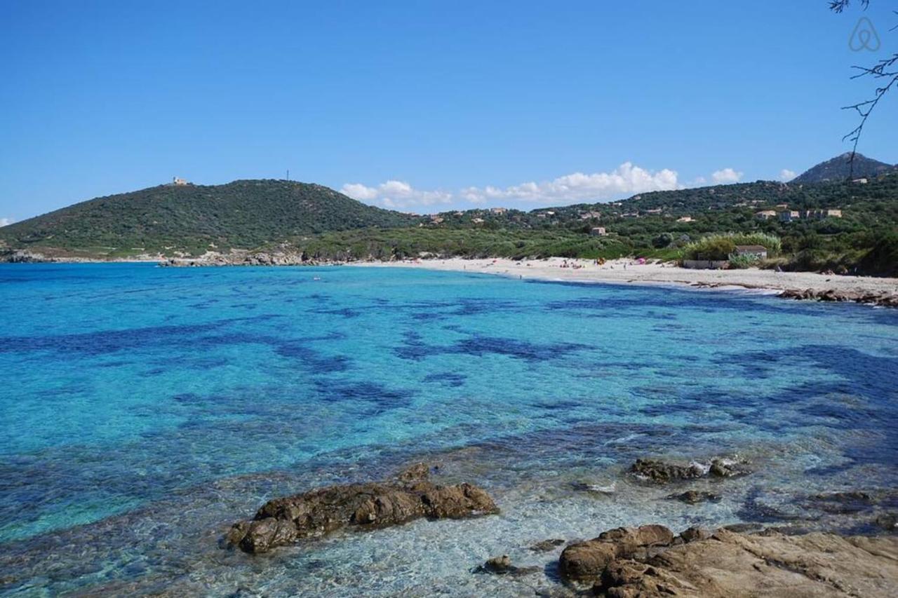 L'Orangeraie Calvi Centre A 300M De La Plage Et Du Port Parking Prive ภายนอก รูปภาพ