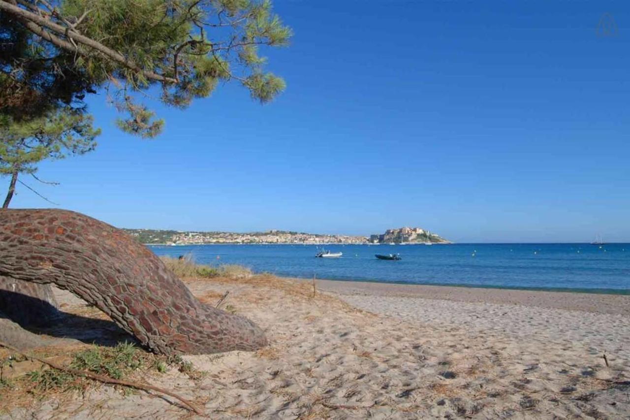 L'Orangeraie Calvi Centre A 300M De La Plage Et Du Port Parking Prive ภายนอก รูปภาพ